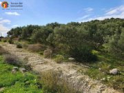 Pitsidia Süd Kreta, Pitsida Baugrundstück mit Meerblick ca.5500m² Grundstück kaufen